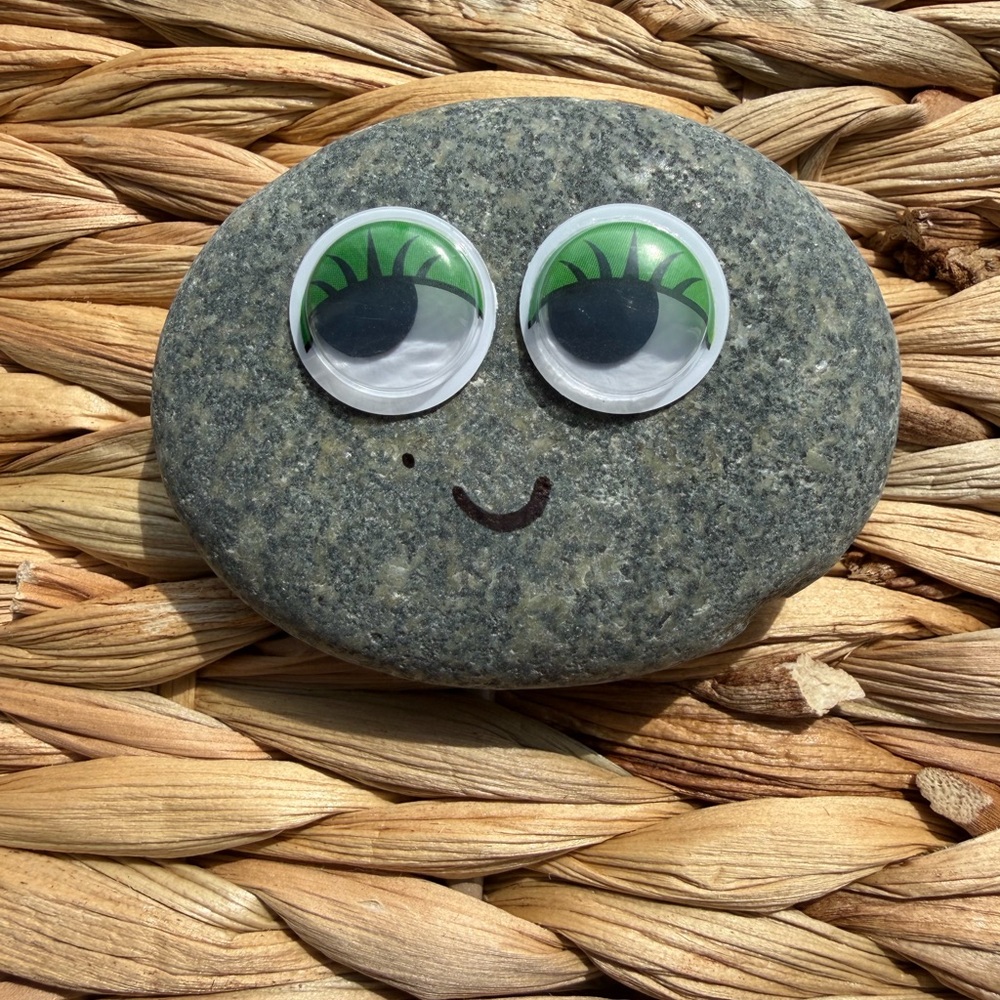 Worry Stone & Pet Rock